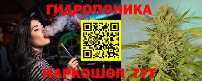 СК Краснодар