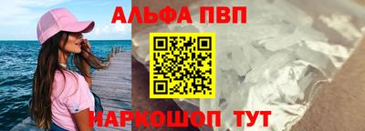 СК Краснодар