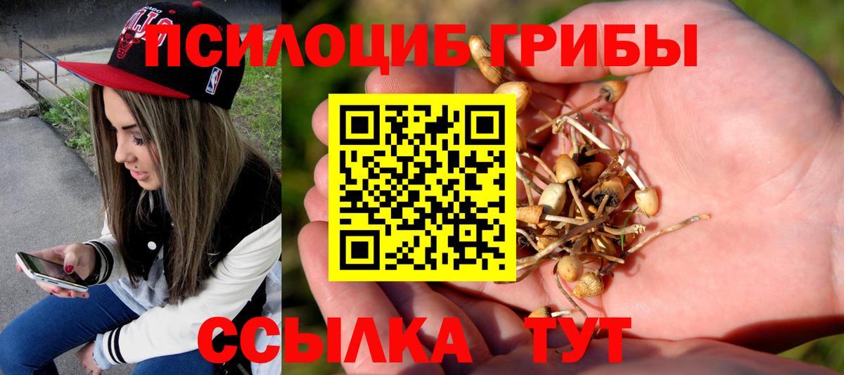 Псилоцибиновые грибы прущие грибы  Вход с VPN  даркнет сайт  Черногорск 