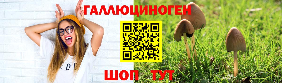 Галлюциногенные грибы MAGIC MUSHROOMS Черногорск